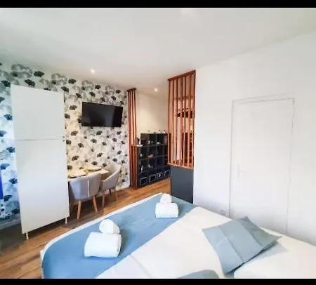 Climatise Confort Apartment Albi