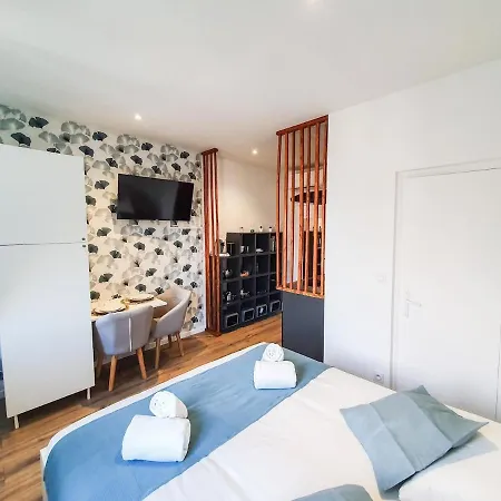 Apartment Climatise Confort Albi