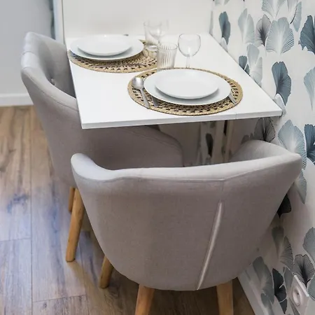 Climatise Confort Apartment Albi